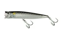 Molix Popper 85T Popper Tarpon Floating 7 Molix Popper 85T Popper Tarpon Floating -Exporteren Vislijnen Gereedschap Winkel Molix Popper 85T Popper Tarpon Floating Tarpon 182