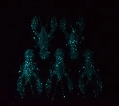 Nikko Craw 3.2 Inch -Exporteren Vislijnen Gereedschap Winkel Nikko Craw 3.2 incg 433 C03 Galaxy 3