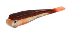 Rozemeyer Rozemeijer Urban Sense Micro Tail 6cm 5pcs -Exporteren Vislijnen Gereedschap Winkel Rozemeijer Urban Sense Micro Tail Bloody Minnow 66733