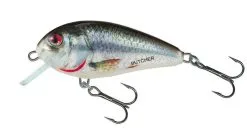 Salmo Butcher 5 Floating -Exporteren Vislijnen Gereedschap Winkel Salmo Butcher 5 Floating Holo Real Dace QBU017