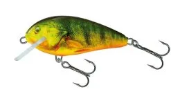 Salmo Butcher 5 Floating -Exporteren Vislijnen Gereedschap Winkel Salmo Butcher 5 Floating Supernatural Hot Perch QBU018