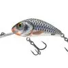 Salmo Rattlin Hornet 5.5