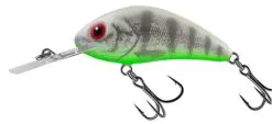 Salmo Rattlin Hornet Floating 6,5cm 20gr -Exporteren Vislijnen Gereedschap Winkel Salmo Rattlin Hornet Floating 65cm 20gr Ghost Perch QRH521