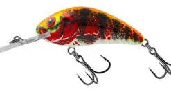 Salmo Rattlin Hornet Floating 6,5cm 20gr -Exporteren Vislijnen Gereedschap Winkel Salmo Rattlin Hornet Floating 65cm 20gr Holo Red Perch QRH520