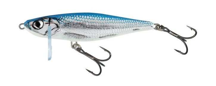 Salmo Thrill 7 Sinking 7cm 13gr 2 Salmo Thrill 7 Sinking 7cm 13gr - Afbeelding 2
