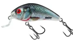 Salmo Rattlin Hornet Floating Shallow 3,5cm 3,0gr 8 Salmo Rattlin Hornet Floating Shallow 3,5cm 3,0gr -Exporteren Vislijnen Gereedschap Winkel Salmo Rattlin Hornet Floating Shallow 3 5cm 3 0gr 3
