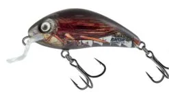 Salmo Rattlin Hornet Floating Shallow 3,5cm 3,0gr 9 Salmo Rattlin Hornet Floating Shallow 3,5cm 3,0gr -Exporteren Vislijnen Gereedschap Winkel Salmo Rattlin Hornet Floating Shallow 3 5cm 3 0gr 4