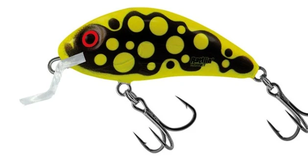 Salmo Rattlin Hornet Floating Shallow 3,5cm 3,0gr 1 Salmo Rattlin Hornet Floating Shallow 3,5cm 3,0gr