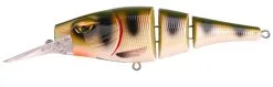 Spro Pikefighter Triple Jointed DD 145 -Floating- 14,5cm/54g 6 Spro Pikefighter Triple Jointed DD 145 -Floating- 14,5cm/54g -Exporteren Vislijnen Gereedschap Winkel Spro Pikefighter Triple Jointed DD 145 Floating 145cm 54g UV Perch 4908 402