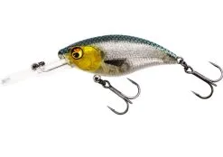 Westin Buzzbite 6cm Suspending -Exporteren Vislijnen Gereedschap Winkel Westin Buzzbite 6cm Suspending 3D Headlight P145 449 148